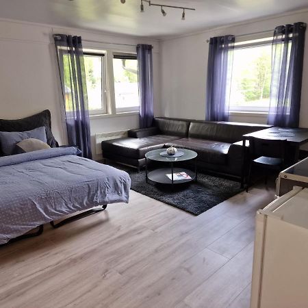 Dalen Studio 3 Exteriér fotografie